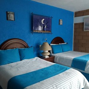 Habitación con Cama King